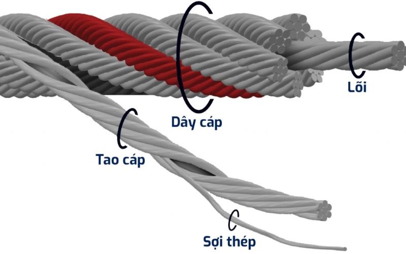 Cấu tạo chi tiết cáp tải thang máy